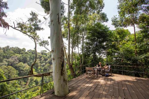 Kaliwa Lodge