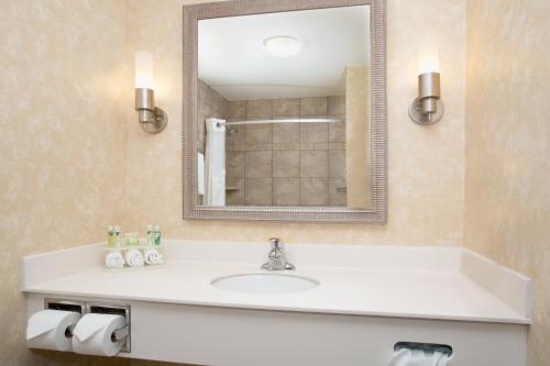 Holiday Inn Express Hotel & Suites Minot South By IHG - 화장실