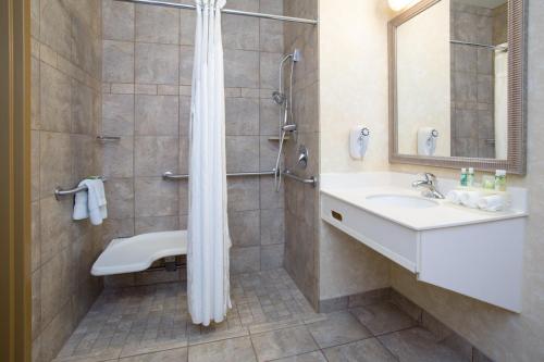 Holiday Inn Express Hotel & Suites Minot South By IHG - 화장실