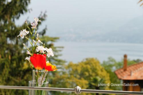 Lake Como Peace Lodge - Casa della Pace