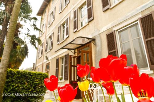 Lake Como Peace Lodge - Casa della Pace