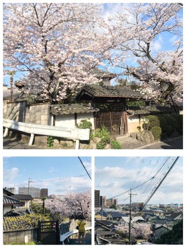 Guest House Misaki 1日1組限定駐車場ありjr石山駅送迎可 大津 草津 其他住宿 Live Japan 日本的旅行 旅游 体验向导