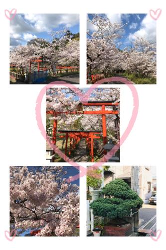 Guest House Misaki 1日1組限定駐車場ありjr石山駅送迎可 大津 草津 其他住宿 Live Japan 日本的旅行 旅游 体验向导