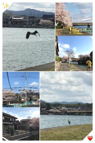 Guesthouse Misaki In Otsu Japan Reviews Price From 121 Planet Of Hotels