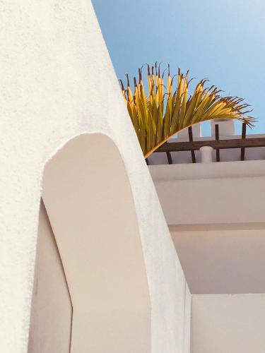Surfers Retreat - image 11