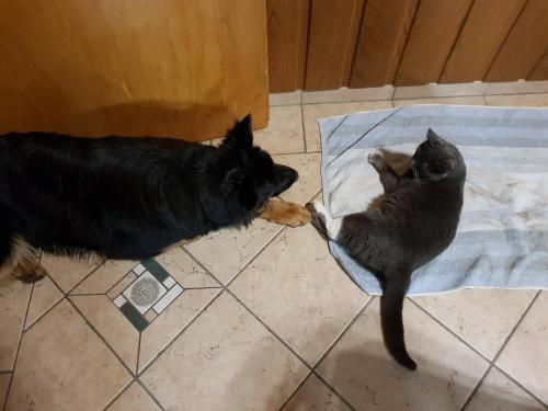 Biolandhof Dorn Highlander vom Elbdeich Biolandhof Dorn Highlander vom Elbdeich