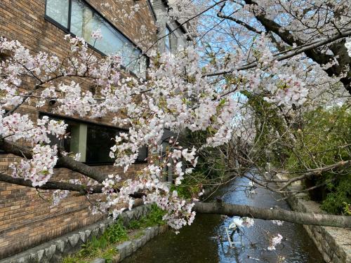 Rinn Shijo Takase River North Entire House Kyoto Deals Photos Reviews Rinn Shijo Takase River North Entire House Kyoto Deals Photos Reviews