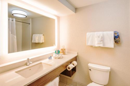 查尔斯顿美国高速公路17 & I-526智选假日酒店  查尔斯顿美国高速公路17 & I-526智选假日酒店