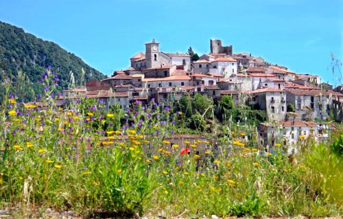Apkārtne, Residenza Scaringelo in Caselle In Pittari