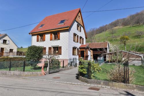 Spacieux et confortables gîtes à proximité randonnées, lacs, ski nature - Apartment - Sondernach