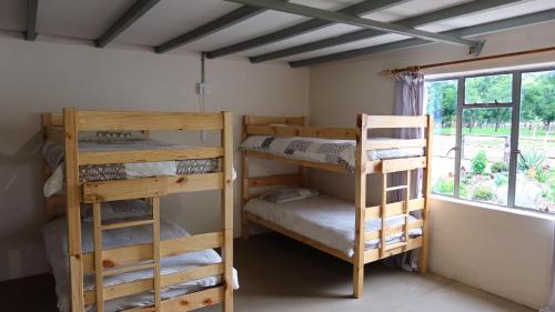 1 bunk bed