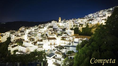 Villa Andalucia - image 12
