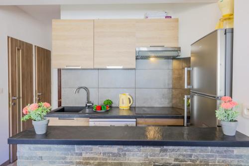 MASSENET PIETONNE AP4196 by Riviera Holiday Homes, Nice (fotografie 6)