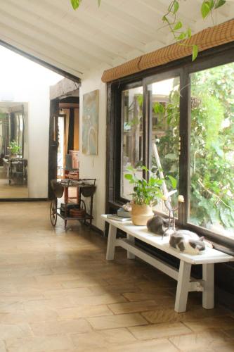 Skupni salon/TV območje, Morada do Sol Guest House in Praia Baia Formosa