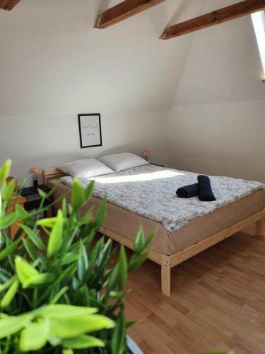 Studio przy Hipodromie - Jana z Kolna 33