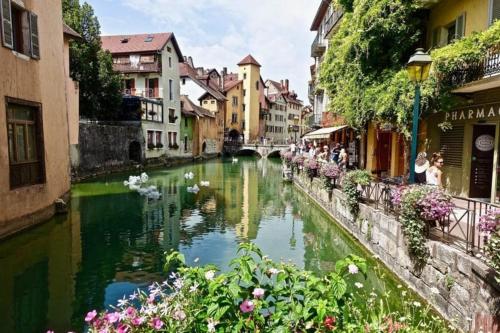 Manou du Lac Annecy - image 5