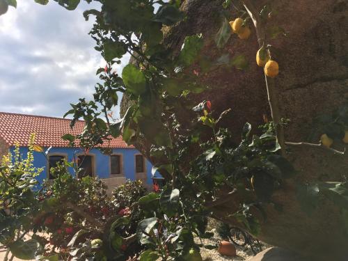  Casa Nicolás in Bretal