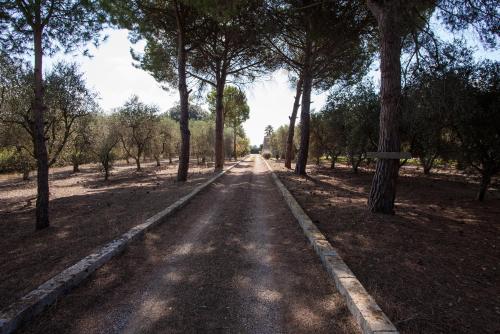  Bilocale nelle campagne Pugliesi con piscina m542 in Corigliano dʼOtranto