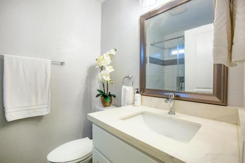 @ Marbella Lane NEW!3BR House in Downtown San Jose