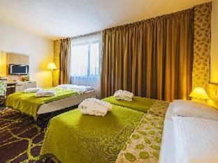 Iris Hotel Eden - Czech Leading Hotels, Прага (фото 8)