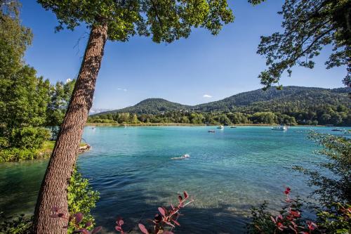 Apartment Oasis Worthersee neu & zentral Top 4 by Seebnb