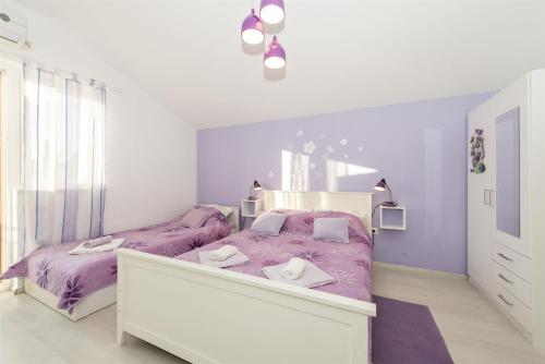 Apartments Summertime - image 5
