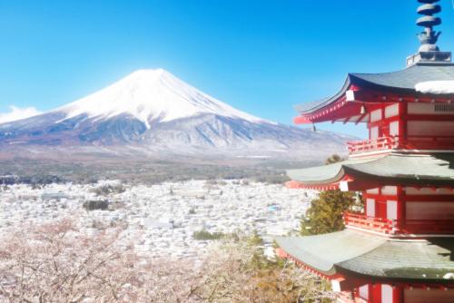 Erable Mt.Fuji "Zen"