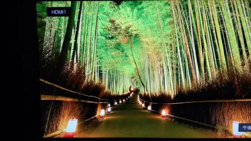 周辺観光スポット