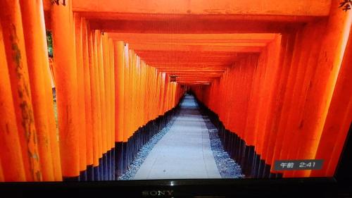 周辺観光スポット