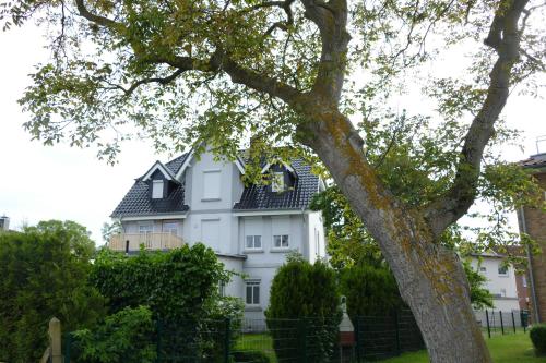 Kühnert Wohnung 1 - image 5