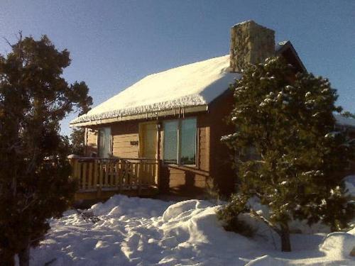 Cabin Suite