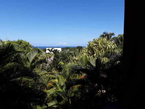 Villa et Gites Le Safran - Le Triskell 4