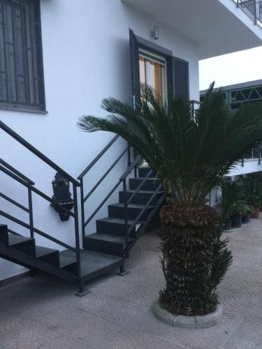 Maria's home 3