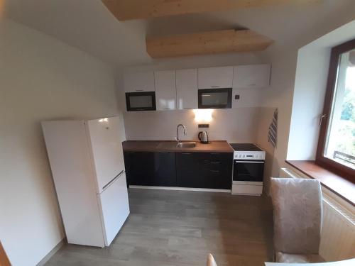 кухня, Ubytování Nad rybníkem Nová Říše - apartmán Západ (Ubytovani Nad rybnikem Nova Rise - apartman Zapad) in Йиндржихув Храдец