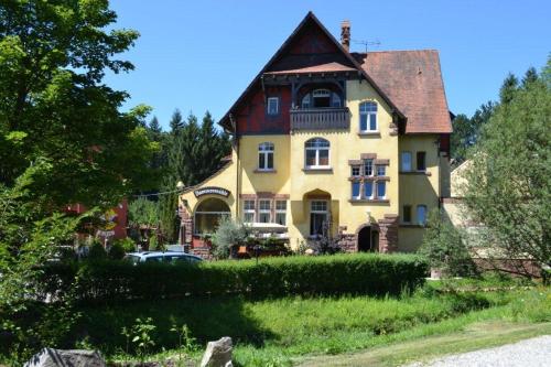 Hotel Dammenmühle - Lahr