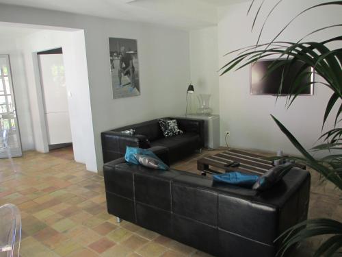Villa Cote d'Asoet photo 16