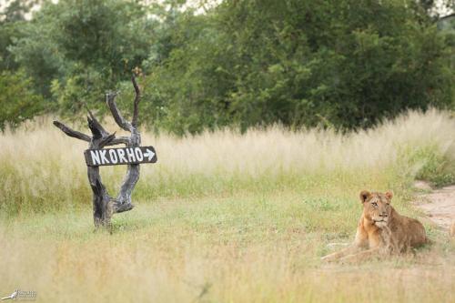 Nkorho Bush Lodge