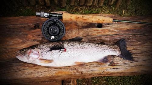 Copperleigh Trout Cottages