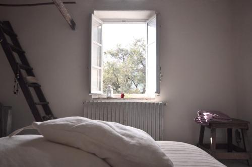 Agriturismo La Forestaria