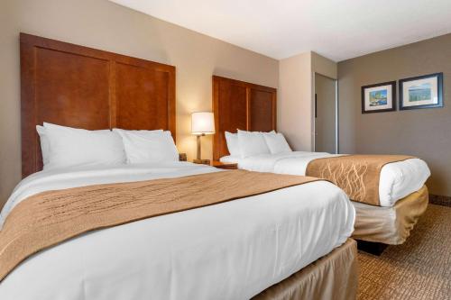 Comfort Inn & Suites South Hill I-85 - image 8