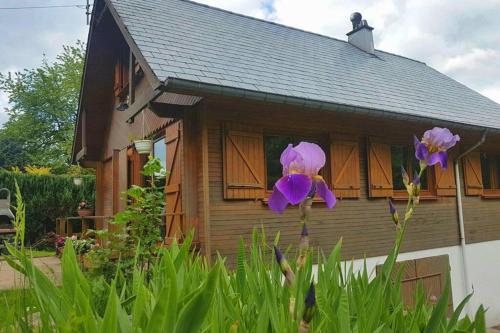 Chalet de l écureuil gîte à louer Gerbépal