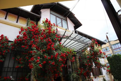 Accommodation in Argeș