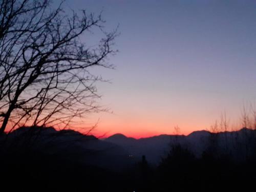 Alla tana del bianconiglio
