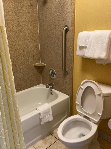 Deluxe Inn - Fayetteville - image 2