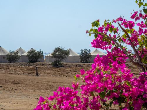 Wadi Lahami Village