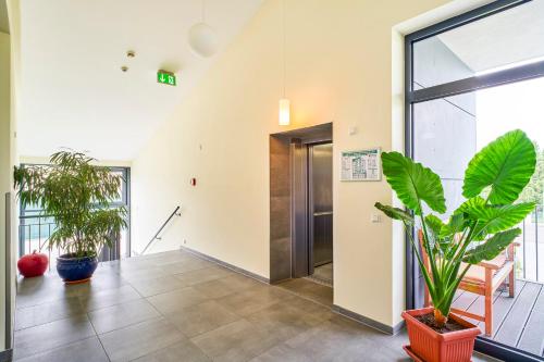 Hotel Apfelbaum - main image