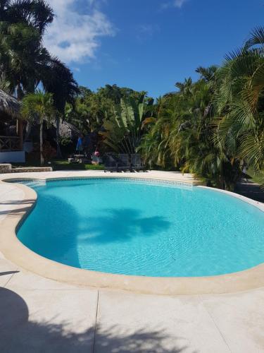 Úszómedence, Casa Flamingo in Cano Seco