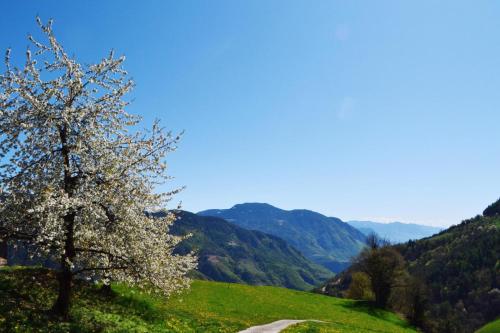 Ferienwohnung Unterkofler, Pension in Jenesien bei Frassinetto