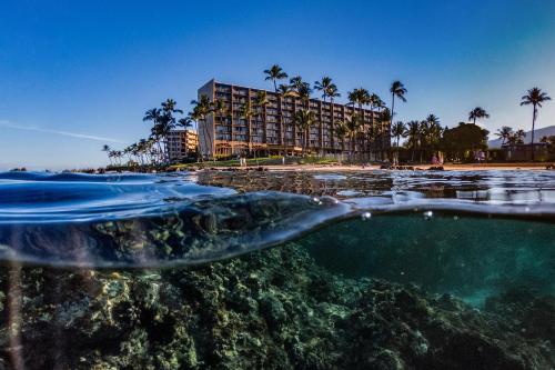 Mana Kai 410 - Ocean front at Keawakapu Beach, AC, Wailea (foto 9)
