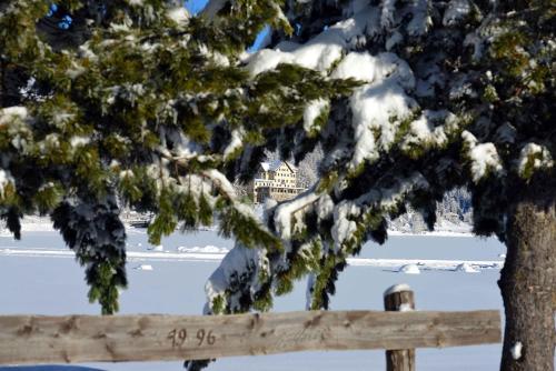 Hotel Waldhaus am See - image 2